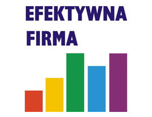 Tytuł Efektywna Firma